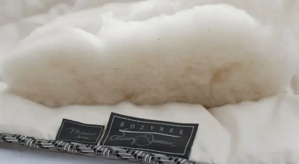 Puszysta owcza wełna w kołdrze. Czy można wyprać kołdrę z owczej wełny w pralce? Metka "Merino line" i "Rozynek Healthy Dreams".
