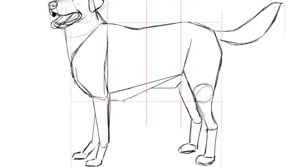 Boceto de perros en proceso, con líneas guía y estructura básica.