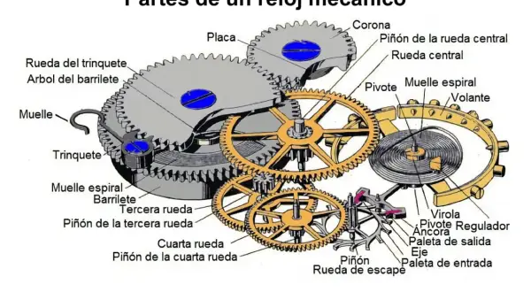 Detalle del mecanismo reloj con engranajes, muelles y pivotes.