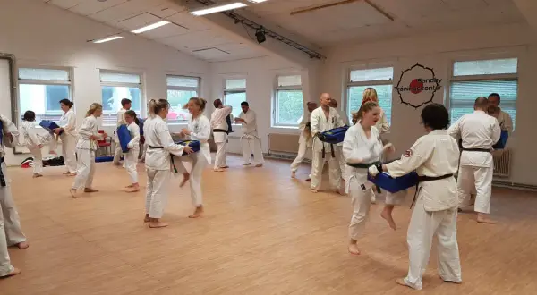 Goju ryu karate-utövare tränar sparkar och slag med kuddar i en dojo.