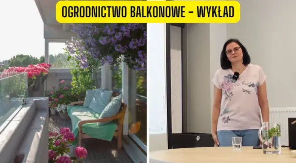 Kwiaty na balkon: Wybór, sadzenie i pielęgnacja kompletny przewodnik