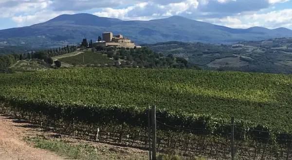 Un borgo fortificato domina le dolci colline toscane, circondato da vigneti rigogliosi. Le vie del Chianti offrono panorami mozzafiato.