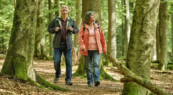 Ein Paar genießt das Wandern im Steigerwald. Sie gehen auf einem moosbewachsenen Pfad durch einen lichten Buchenwald.