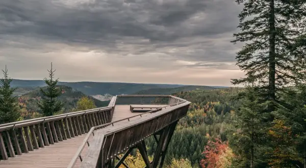 Holzsteg-Aussichtsplattform mit Blick über den bunten Schwarzwald. Ein echter **Geheimtipp Baiersbronn** für Naturliebhaber.