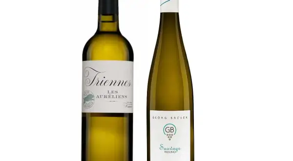 Två flaskor vitt vin, perfekt vin till pilgrimsmusslor. En flaska Triennes Les Auréliens och en flaska Georg Breuer Sauvage Riesling.