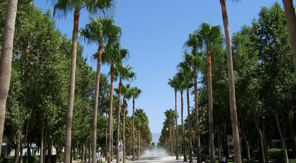 Paseo arbolado con palmeras a ambos lados, bancos y una fuente al fondo. La rambla de Almería invita a un paseo tranquilo bajo el sol.