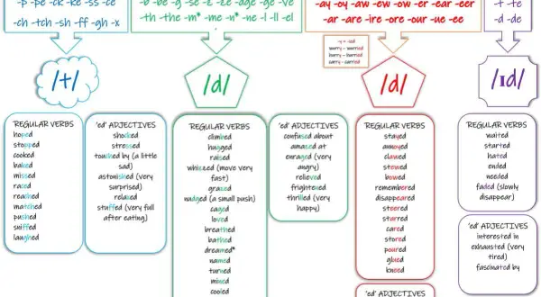 La pronunciación de -ed en inglés: /t/, /d/, /ɪd/. Aprende con ejemplos de verbos y adjetivos.