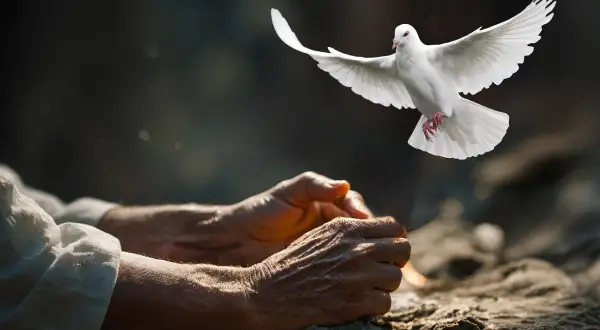 Biały gołąb wzbija się nad złożonymi dłońmi, symbolizując nadzieję i pokój, jak w psalm 34 tekst.