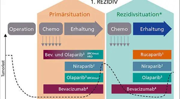 Schema zeigt Behandlung von Eierstockkrebs. Olaparib wird zur Heilung eingesetzt, sowohl in der Primärsituation als auch bei Rezidiven.