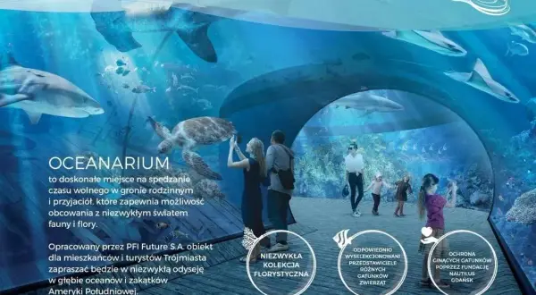 Oceanarium Nautilus w Gdańsku: Co musisz wiedzieć o otwarciu i atrakcjach