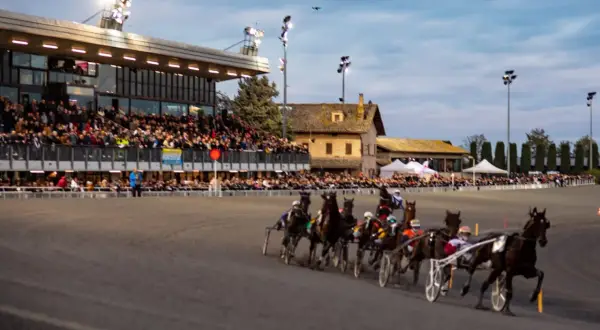 Corsa di cavalli al trotto all'ippodromo Montegiorgio, con pubblico sugli spalti e cavalli in azione sulla pista.