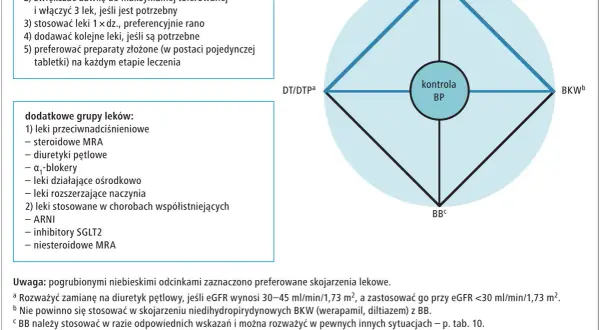 Schemat leczenia nadciśnienia: preferowane skojarzenia leków (ACEI/ARB, DTP, BKW, BB) i dodatkowe grupy leków.