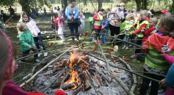 Czy można legalnie rozpalić ognisko nad jeziorem? Przepisy i praktyczne porady
