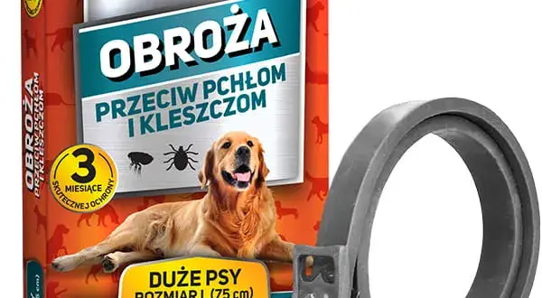 Krople czy obroża przeciw kleszczom – co lepiej chroni Twojego psa?