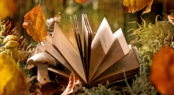 Jak napisać baśń: krok po kroku do stworzenia magicznej opowieści