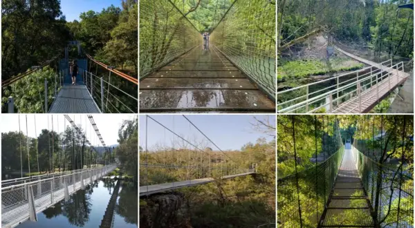 Collage de varios puentes colgantes en Galicia, algunos con personas cruzándolos, rodeados de exuberante vegetación y agua.