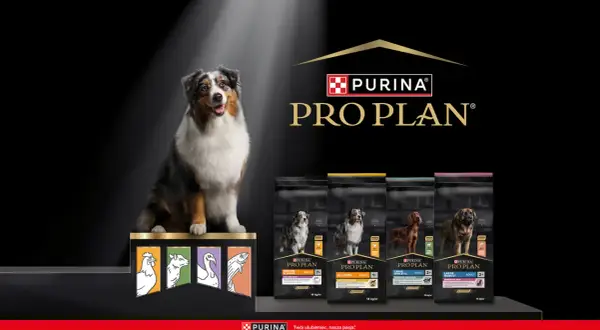 Purina dla psa: Od Pro Plan po Darling czy warto? Ekspert radzi