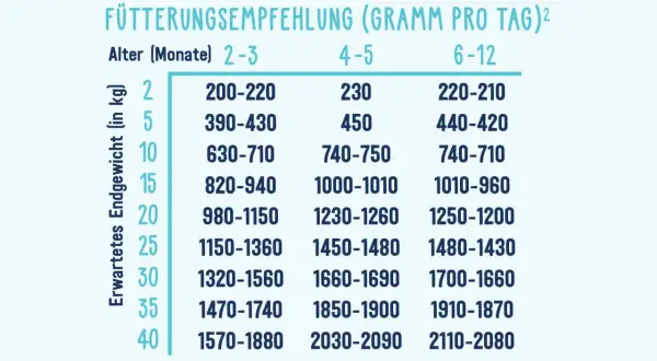 Futterempfehlung für Welpen: Tabelle zeigt die tägliche Futtermenge in Gramm basierend auf Alter und erwartetem Endgewicht.
