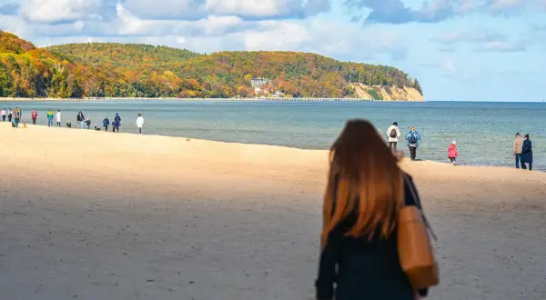 Jesień nad morzem. Spacerowicze na plaży, w oddali widać klify i las. Gdańsk Sopot odległość plażą.