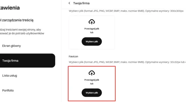 Ustawienia strony: wybór pliku dla ikony strony (favicon) i jej optymalny rozmiar.