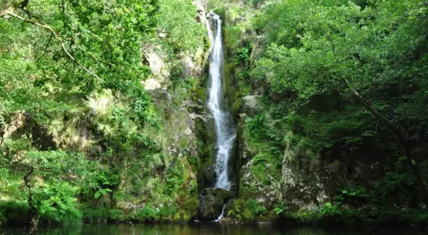 La cascada Viveiro desciende por rocas cubiertas de musgo y vegetación exuberante, desembocando en un estanque sereno.