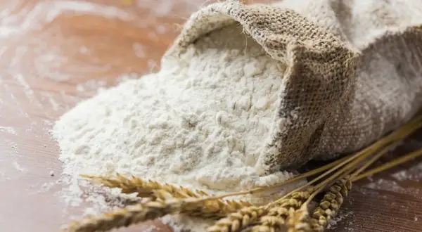 Wsypana z worka mąka pszenna i kłosy zbóż. To właśnie z nich powstaje gluten, kluczowy składnik wypieków.