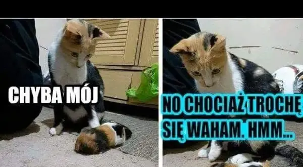 Śmieszne memy o ojcu odbierającym dziecko z przedszkola, które rozbawią każdego