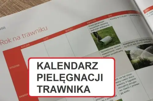 Trawnik idealny przez rok: Pełny kalendarz pielęgnacji w Polsce