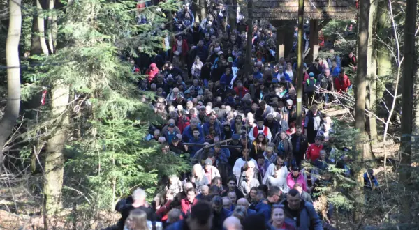 Tłum pielgrzymów podąża leśną ścieżką. Widać drewnianą wiatę i drzewa. Święty Krzyż trasa jest pełna ludzi.