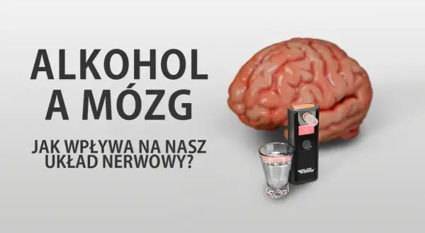 Prawda o alkoholu: Jak niszczy mózg i czy możliwa jest regeneracja?