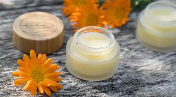 Zutaten für calendula creme selber machen: Ringelblumen, ein Glas mit Creme und ein Holzdeckel.