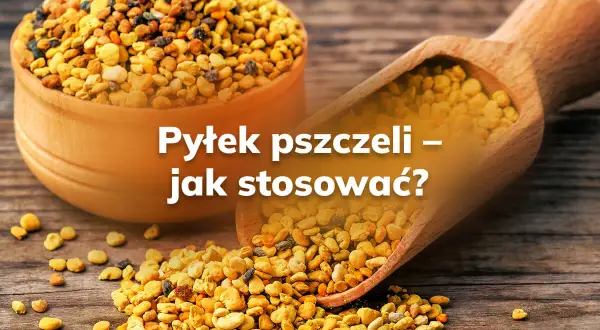 Pyłek pszczeli – jak stosować? Złote granulki w drewnianej miseczce i na łopatce, gotowe do spożycia.