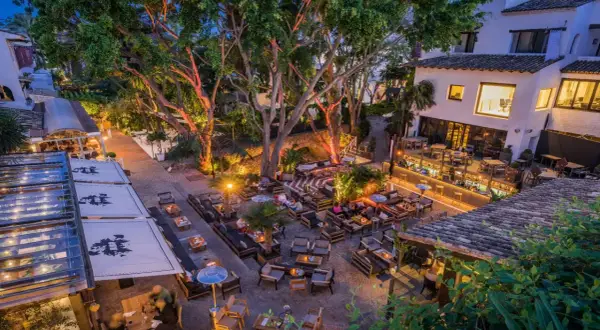Wieczorny widok na tętniący życiem ogród restauracyjny z oświetlonymi drzewami i łukowym mostem w tle, przypominającym puente romano w Marbelli.