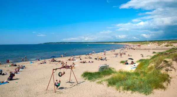En solig strand i Halland fylld med badande och solande människor. Barn leker på en gunga nära sanddynerna.