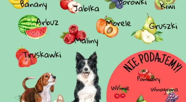 Warzywa dla szczeniaka: Co bezpieczne, a co toksyczne?