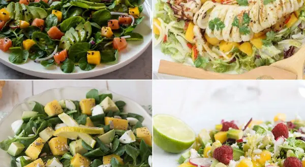 Cuatro ensaladas vibrantes: salmón y aguacate, calamar a la parrilla, queso y mango, y una refrescante ensalada de mango con frambuesas.