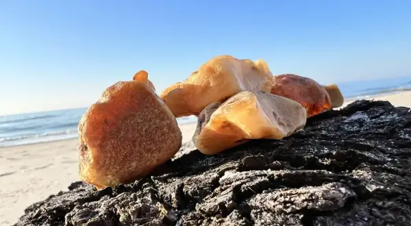 Kawałki bursztynu na ciemnym drewnie, na tle plaży i błękitnego nieba. Tak wygląda bursztyn na plaży, lśniący w słońcu.