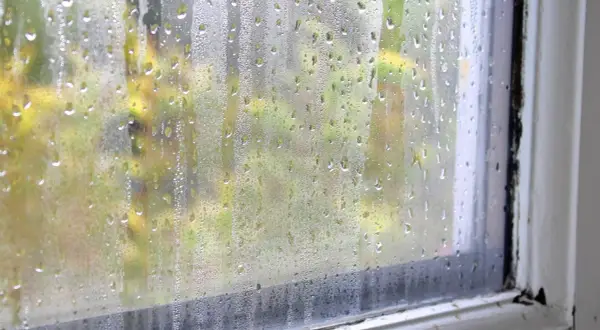 Dlaczego okna są mokre? Poznaj przyczyny i skutki kondensacji
