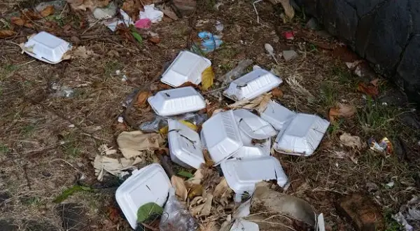 Gdzie utylizować styropian? Sprawdź, jak uniknąć kar za błędy