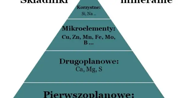 Minerały w których produkuje się nawozy fosforowe – kluczowe informacje i zagrożenia
