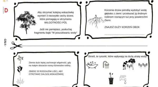 Scenariusz gry terenowej dla młodzieży: zadania o drzewach, korzeniach, liściach i oszczędzaniu wody.