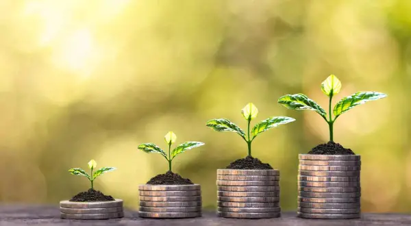 Piante che crescono su pile di monete, simboleggiando la crescita degli investimenti e quanto si paga di contributi al mese.