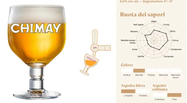 Un bicchiere di birra Chimay dorata, con schiuma bianca. Accanto, una ruota dei sapori e dettagli sul colore e aspetto, utili per le birra Chimay recensioni.