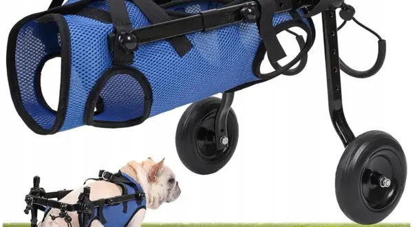 Najlepszy wózek dla psa Pet Gear: komfort i bezpieczeństwo w podróży