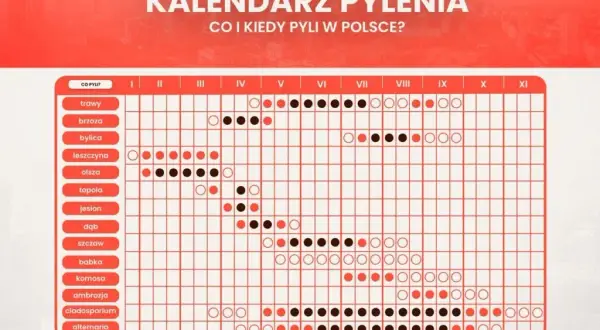 Co teraz pyli w Szczecinie? Aktualny raport, kalendarz i porady!