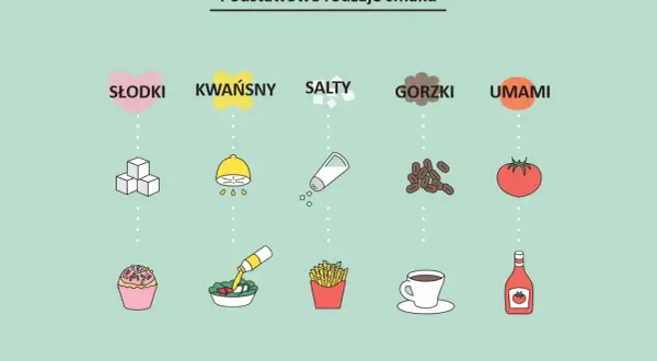 Podstawowe smaki: słodki (ciastko), kwaśny (sałatka), słony (frytki), gorzki (kawa), umami (pomidor, ketchup).