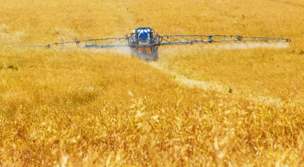 Trattore spruzza pesticidi su un campo dorato, contribuendo all'inquinamento agricolo.