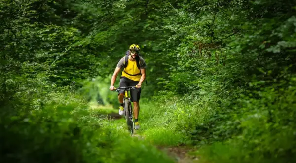 Mężczyzna w żółtej koszulce i kasku jedzie rowerem po leśnej ścieżce. To idealne miejsce na odkrywanie tras rowerowych Sosnowiec.