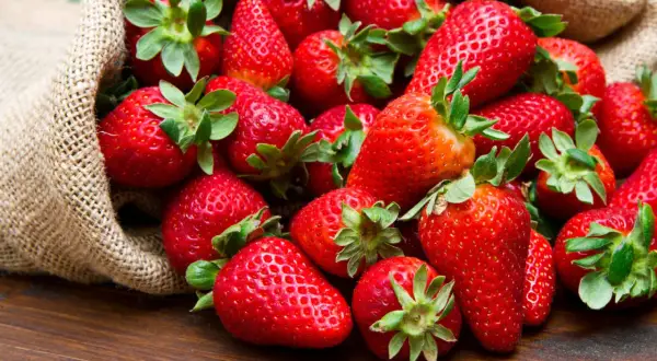 Un saco de arpillera desbordante de jugosas fresas rojas, anunciando la época de fresas.