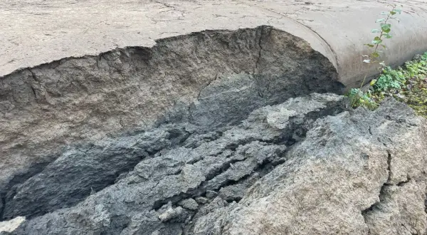 Le fond de l'étang révèle une terre craquelée et érodée, témoignant d'un assèchement spectaculaire.